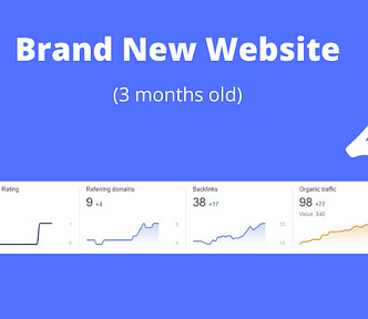 Screenshot of Ahrefs dashboard for a new website already ranking in Google — I Found a Google “Loophole” To Rank New Websites (With Proof)