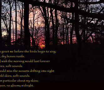This photo shows a sunrise peeking through trees in a wooded area. The colors of the sun are yellow and orange. The sky is orange, purple, blue, green, and yellow. The trees in the foreground are dark.