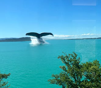 AI generated image of a blue whale’s tail appearing from Lake Zug, Switzerland