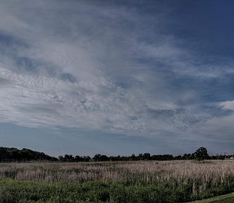 a long country road against a background of thunder clouds (how to grow from criticism)