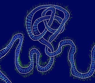 a sketch image of what looks like a knotted river