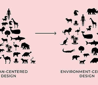 The graphic shows transition from human-centered design (triangle-shaped) to environment-centered design (circle-shaped).