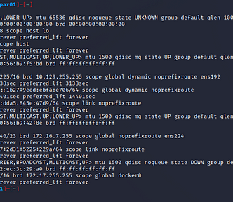 Linux host ifconfig