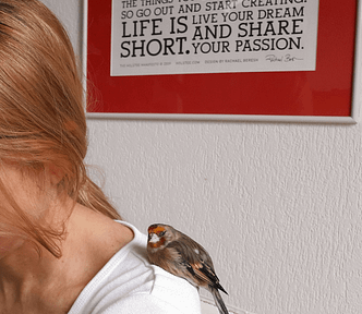 A goldfinch, named Argos, with white, black, and orange feathers, sits on the shoulder of a young, blonde woman. Behind them is a poster of the Holstee Manifesto saying: “Life is short. Live your dream and share your passion.”