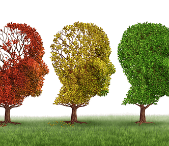 Brain aging due to dementia and Alzheimer’s disease represented by a group of color changing autumn fall trees shaped as a human head losing leaves on a white background. The reverse order process represents the power of antioxidants in our diet to slow the decline.