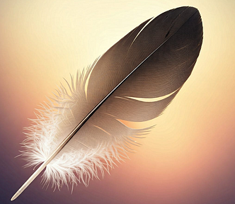 a feather with a light background