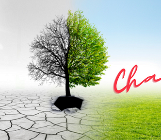 Tree changing from barren branches to green growth — Yes, Cheaters Can Really Change-Here’s Why