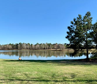 Boy sitting by the lake