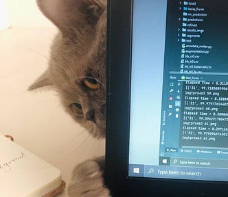 a cat touching the laptop screen
