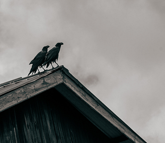 After a twin flame dies, everything changes