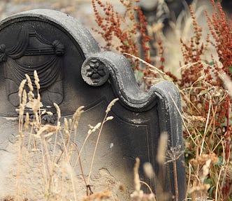 the edge of an ancient gravestone