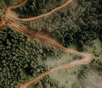 Nature photograph of brown winding roads through evergreen forests.