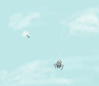A color cartoon of a blue sky with a tiny spider ‘ballooning’ on some threads of its silk and a single dandelion seed afloat above and to the left of the spider. The spider has pretty blue eyes. Art by Doodleslice 2024