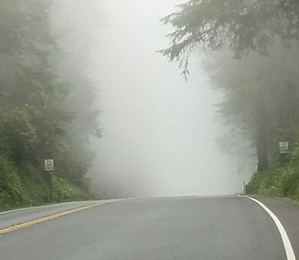 The crest of a hill on a state state highway in a heavily wooded area. I bicyclist can be seen stopped on the right-hand side of the road.