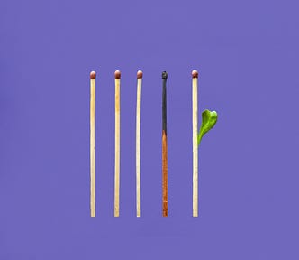 Some unlit matches and a burnt one. A new match with a leaf sprouting out of it.
