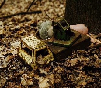 Rusty toys in dead leaves