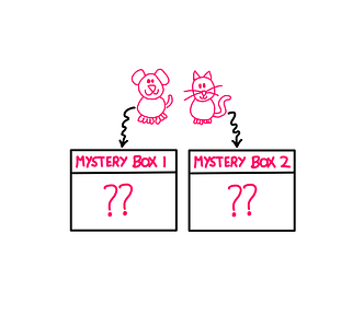 Tricky Logic Puzzle (V): How To Really Solve It? — A whiteboard-style graphic illustration showing a cat and dog above two mystery boxes labelled “Mystery Box 1” and “Mystery Box 2”. On the surface of each of these boxes, there are two question marks “??” marked.