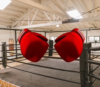 A red boxing gloves atop a boxing ring. The silence is reflective of a defeat