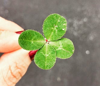 A four leaf clover. The symbol of luck.