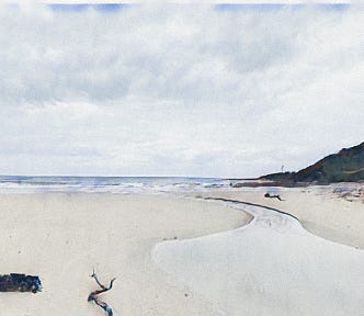 A wide beach of pale sand: a creek snakes across it towards the distant surf. To the right a rounded, dark headland. In the foreground, a tree branch and other debris.