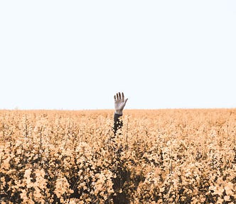 Photo by Daniel Jensen on Unsplash