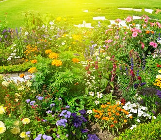 A beautiful garden