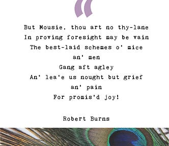 quote graphic featuring a verse from To A Mouse by Robert Burns