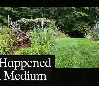 a garden with a black frame around it reading ‘it happened on medium’