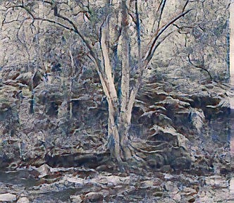 Slender, near-symmetrical tree on the stony bank of a small river; palette muted, almost monochrome.