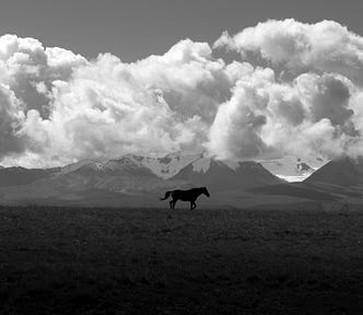 A lone horse against a backdrop of mountains and cloud.