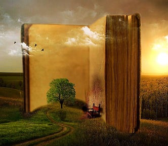 A book that is mixed into the forest environment with the Sun behind.