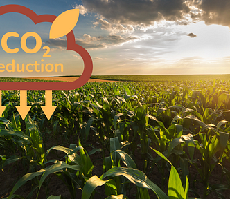 A vibrant green cornfield stretches into the horizon under a partly cloudy sunset sky. Overlaid on the image is a graphic showing a cloud with the text “CO₂ reduction” and arrows pointing downward, symbolizing carbon capture in agricultural fields