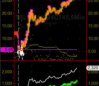 TSLA in-the-money call on an expiration Friday (9?24/21).