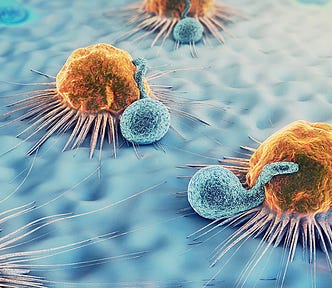 Cancer cells and lymphocytes