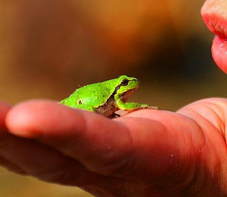 woman holding a frog close to her mouth
