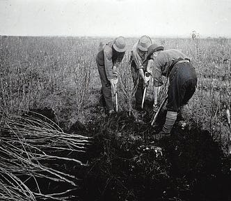 Farm Workers