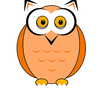 A digital drawing of an owl. Fun fact: I created this in keynote using basic shapes, because I am an anthropologically trained researcher not an artistically trained anything.