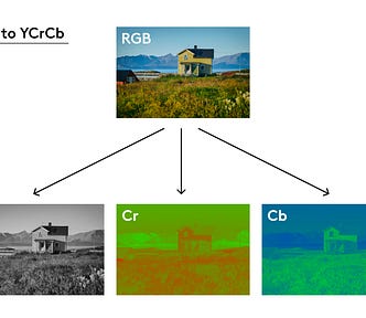 A decomposition of an image into the three channels in YCrCb.