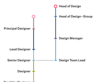 Craft leadership (eg. designer, senior designer, lead designer) vs people leadership (eg. design team lead, design manager)