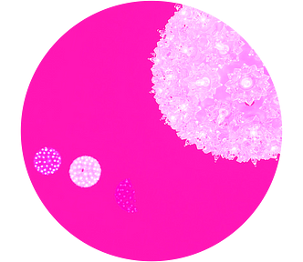 A large pink dot with floating lights inside