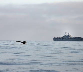 Aircraft carrier at sea and a whale’s tale in the foreground