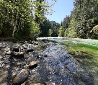 A swift-flowing river in British Columbia, Canada, surrounded by trees.