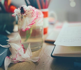 a pink and white flower in a glass of water on a desk with an open notebook to the side. The flower is losing its petals.