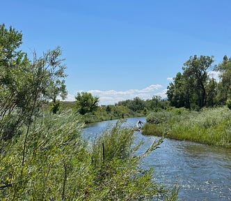 a clear day. A river flowing through green trees and plants