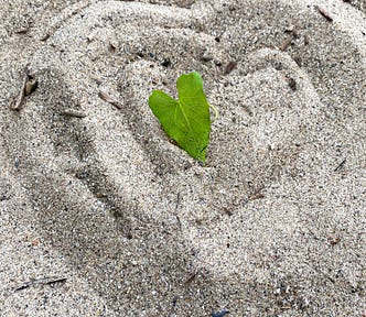 playing in the sand | heart-shaped leaf, hand-drawn concentric hearts made of sand, sand art, beach, sunshine | nature photography | © pockett dessert