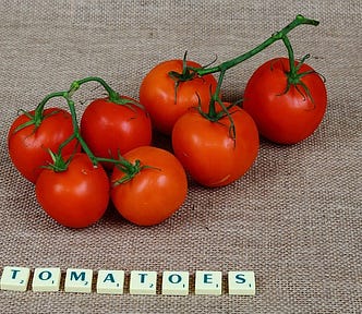 Ripe, red tomatoes against a canvas background; Scrabble tiles spell out “Tomatoes”