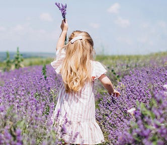 A girl is strolling in the Savannah, picking lavender flowers.