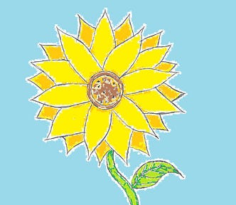 Hand drawn sunflower with yellow petals and green stem and leaf on a blue background.