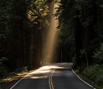 Image of a ray of sunshine through a dark forest canopy of trees landing on a paved road.