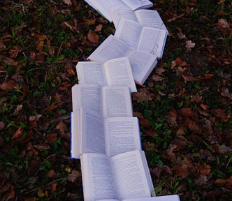 a path of open books on leaves